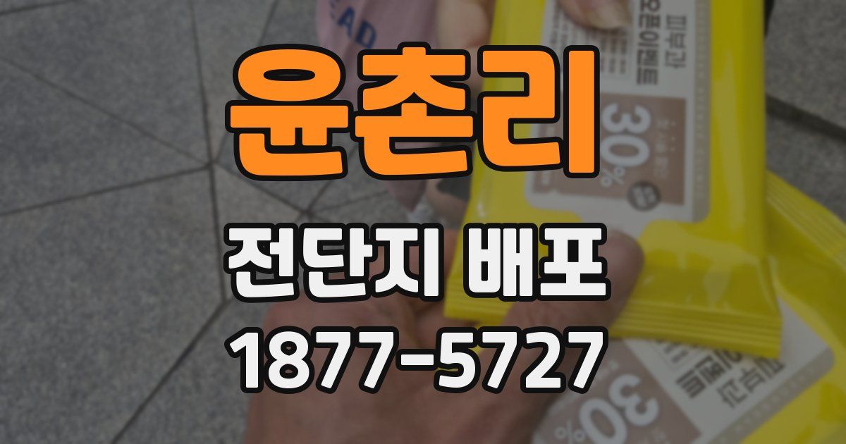 윤촌리 전단지 배포