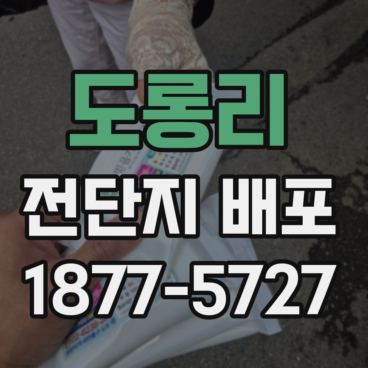 도롱리 전단지 배포