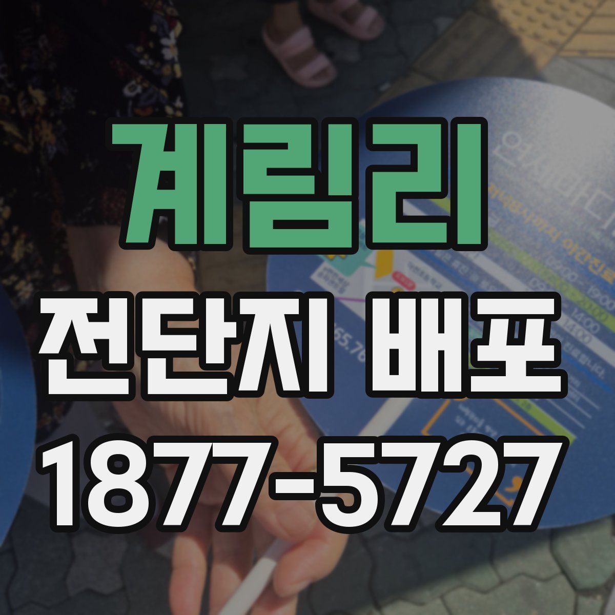 계림리 전단지 배포