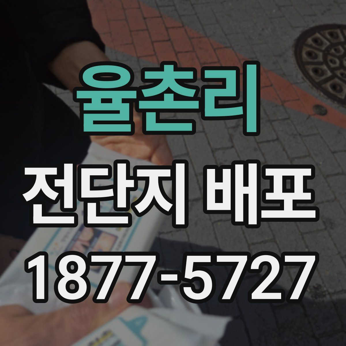 율촌리 전단지 배포