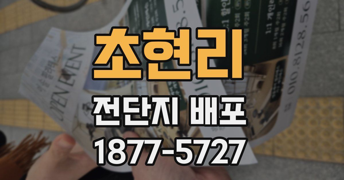 초현리 전단지 배포