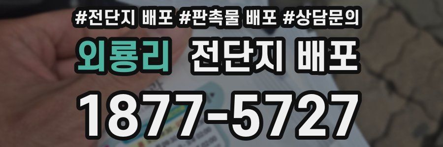 외룡리 전단지 배포