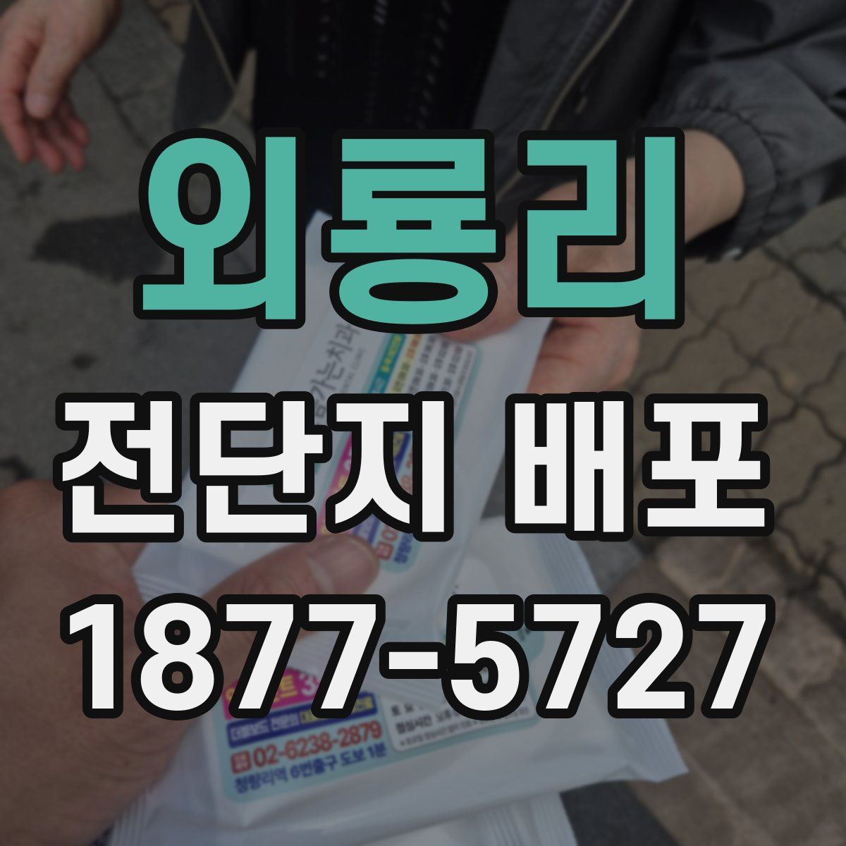 외룡리 전단지 배포
