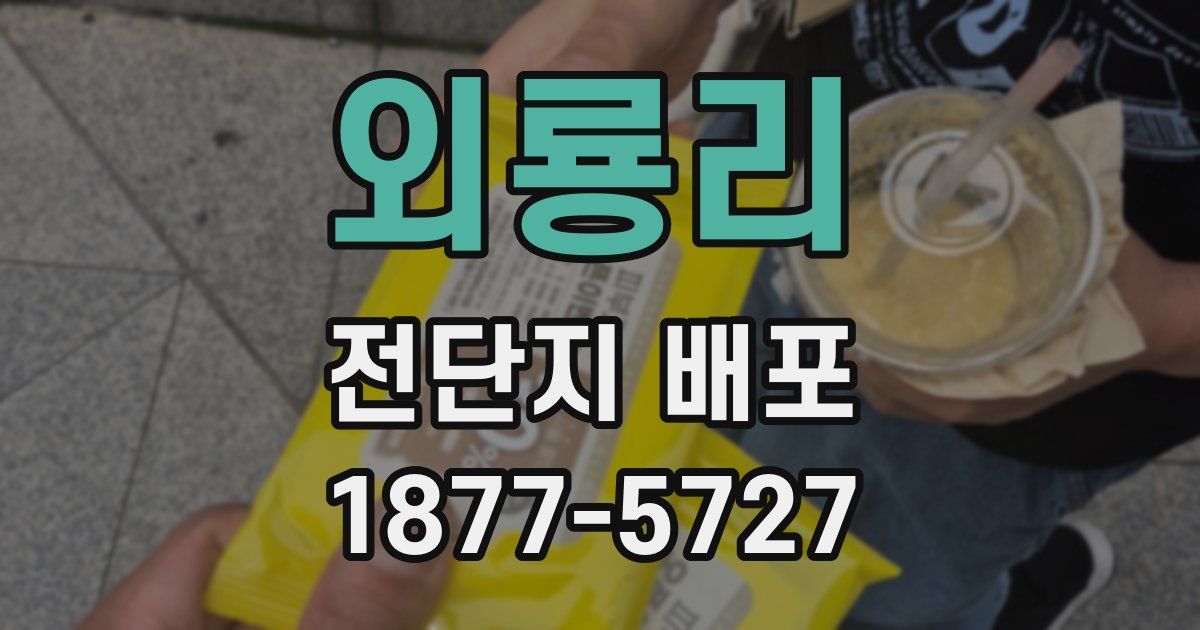 외룡리 전단지 배포