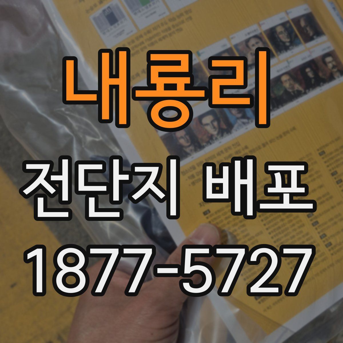 내룡리 전단지 배포