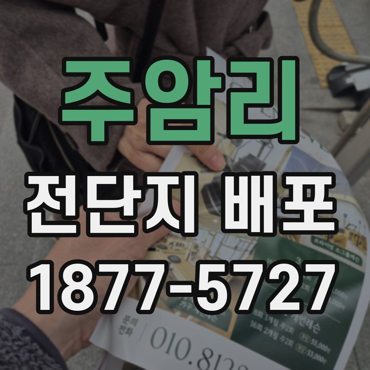 주암리 전단지 배포