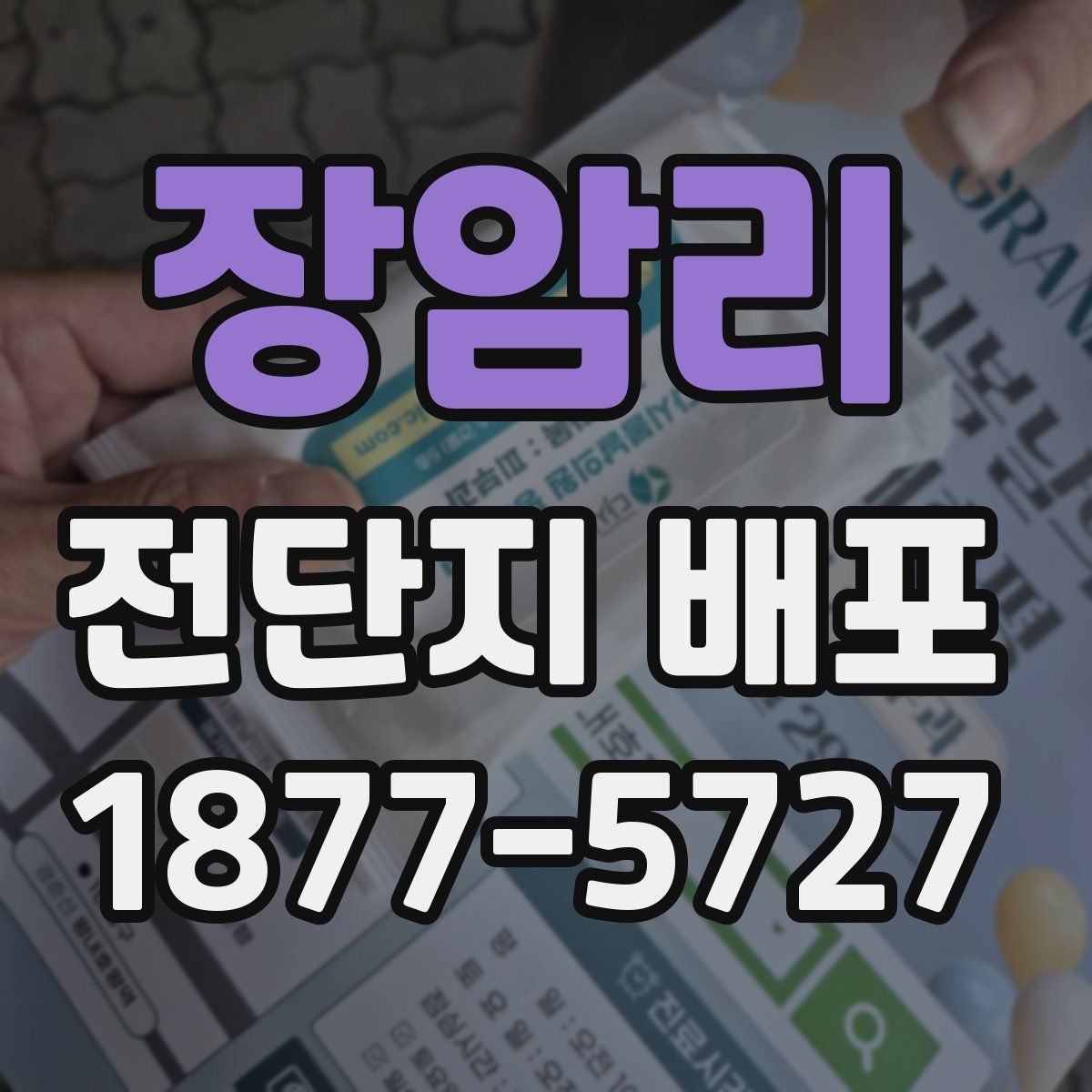 장암리 전단지 배포