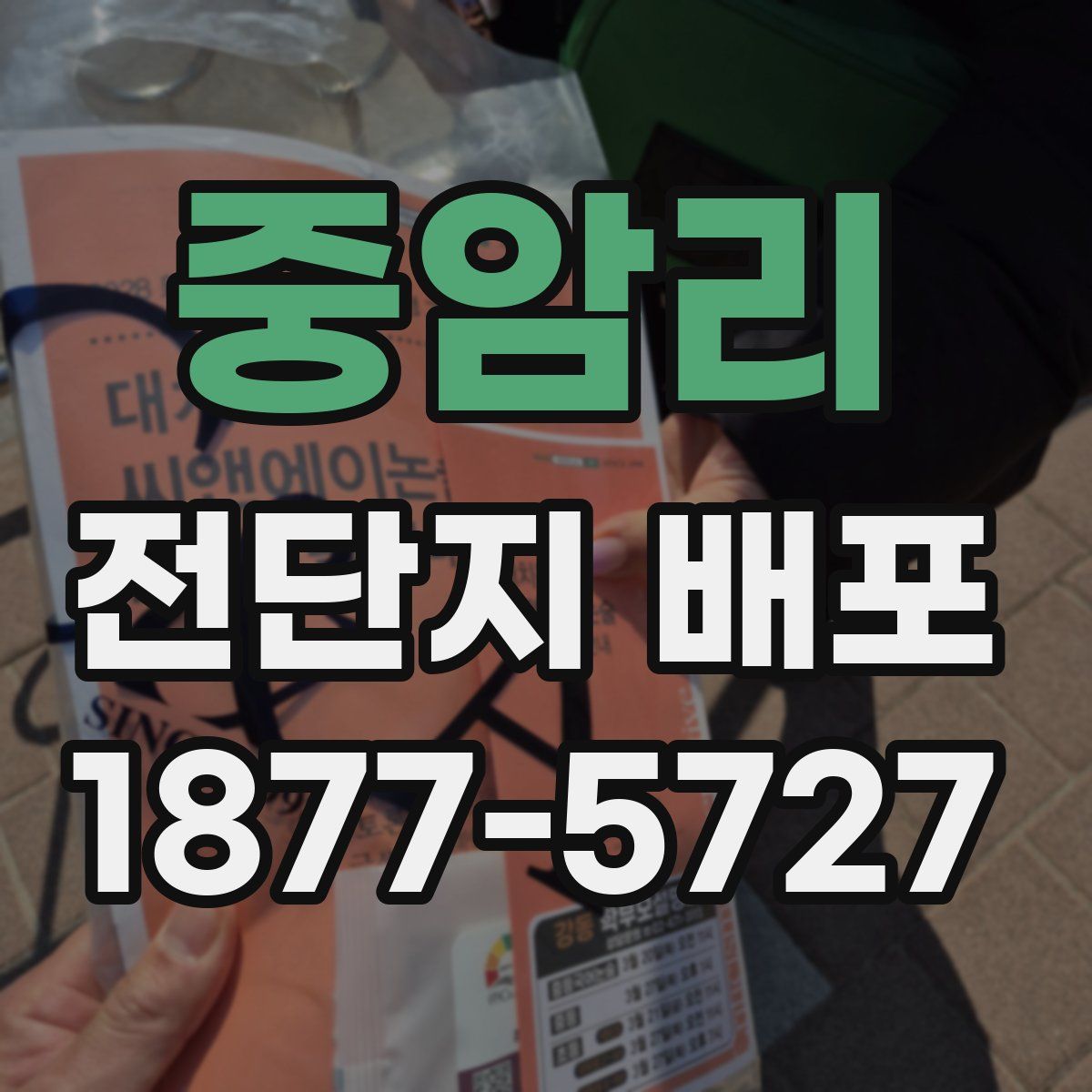 중암리 전단지 배포