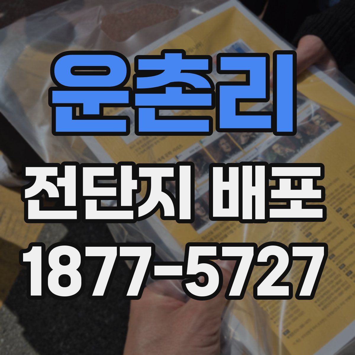 운촌리 전단지 배포