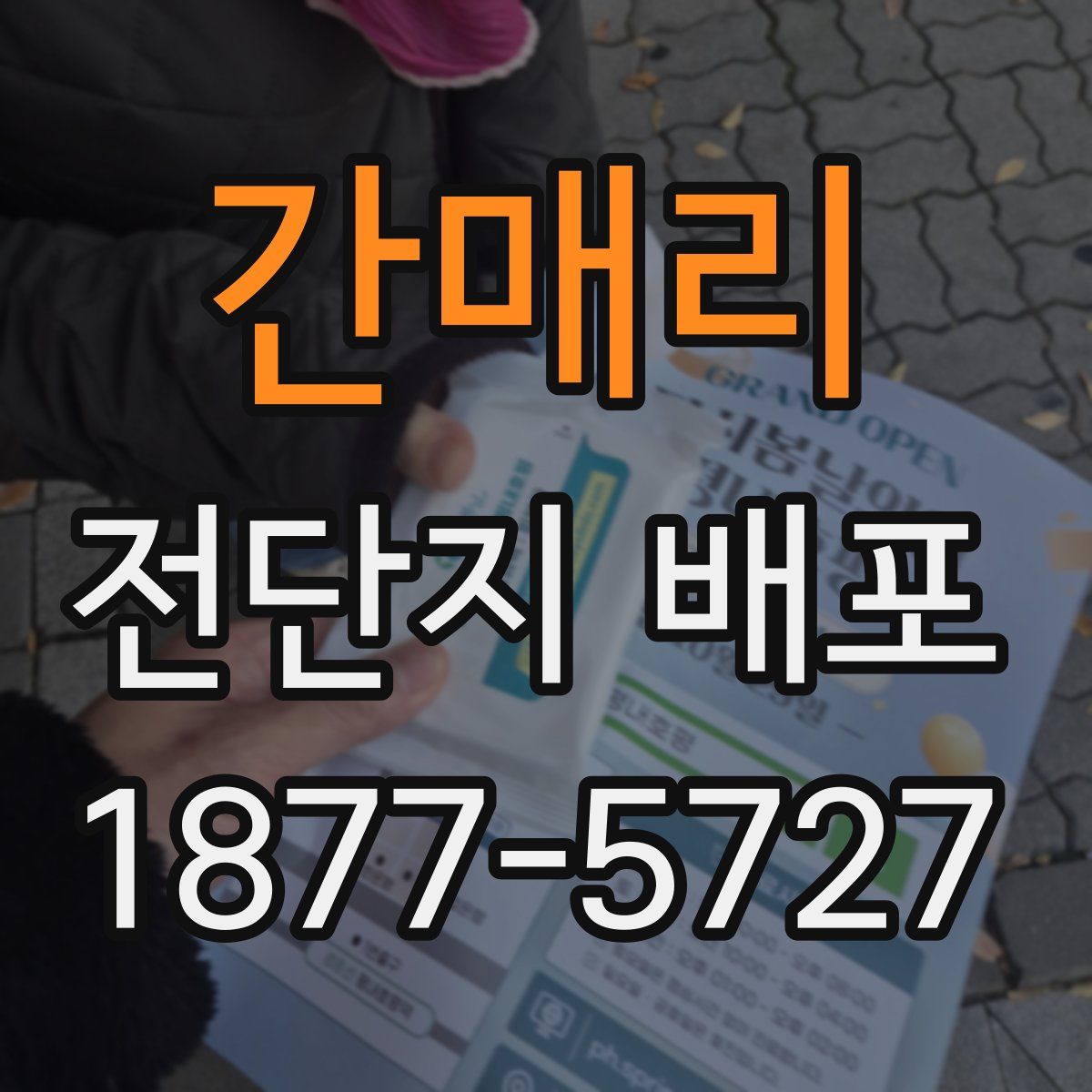 간매리 전단지 배포