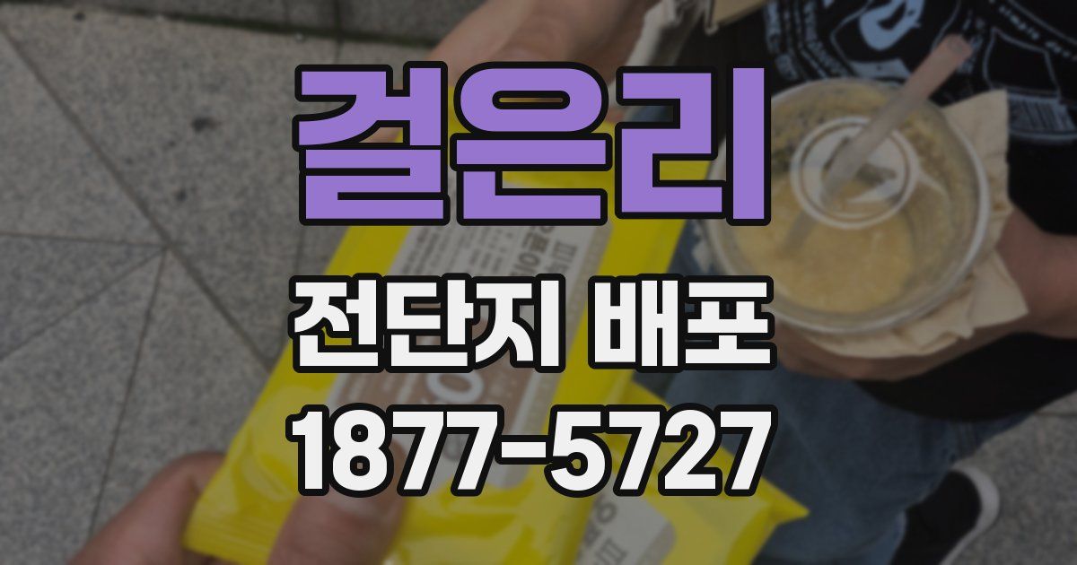걸은리 전단지 배포
