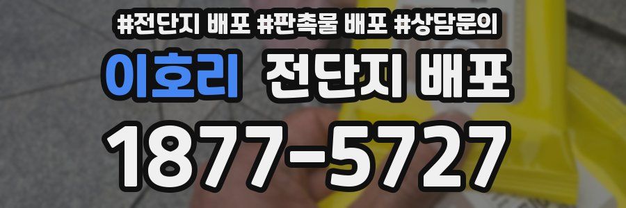 이호리 전단지 배포