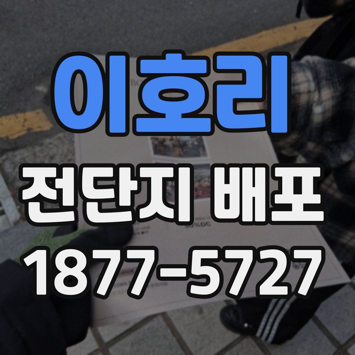 이호리 전단지 배포