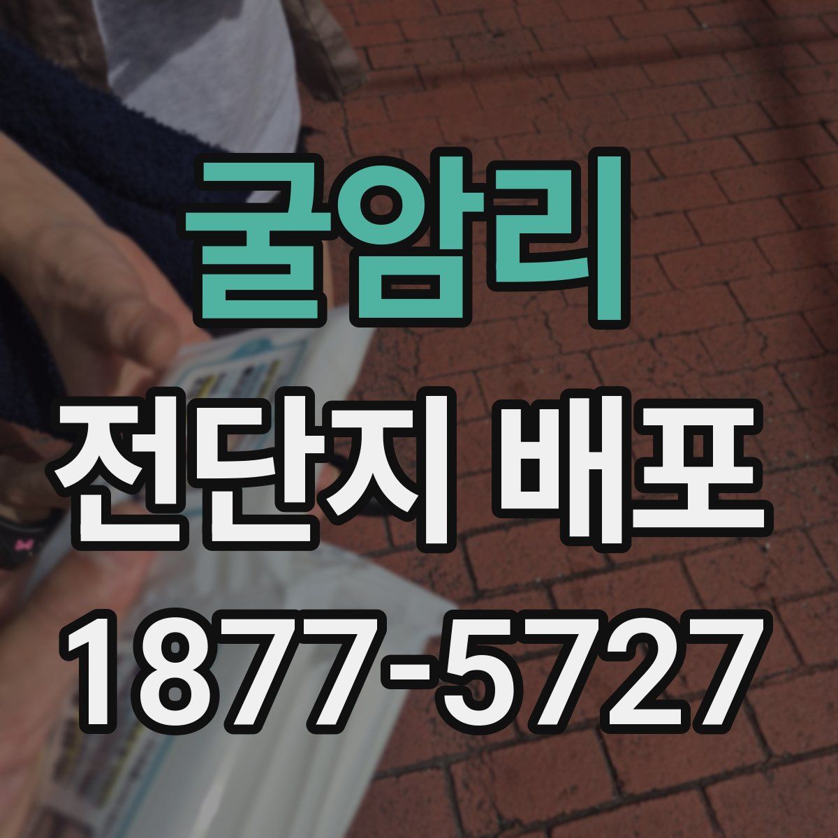 굴암리 전단지 배포