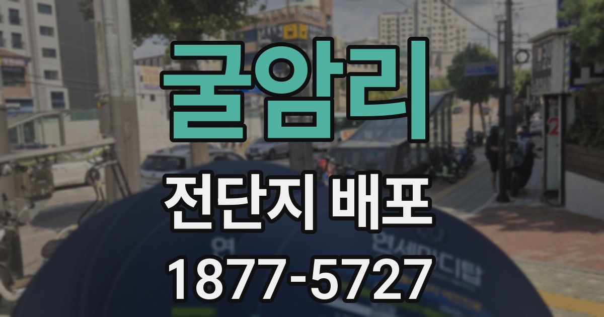 굴암리 전단지 배포