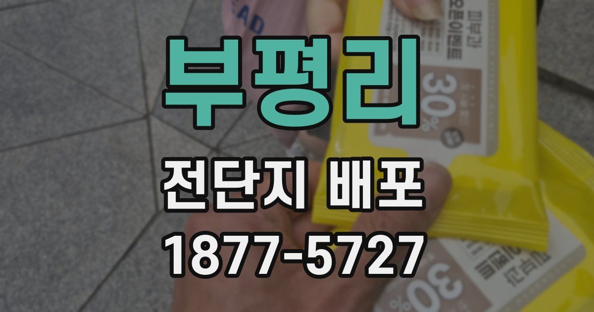 부평리 전단지 배포