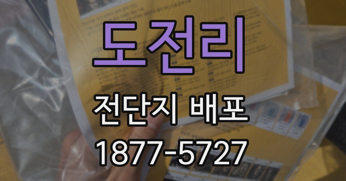 도전리 전단지 배포