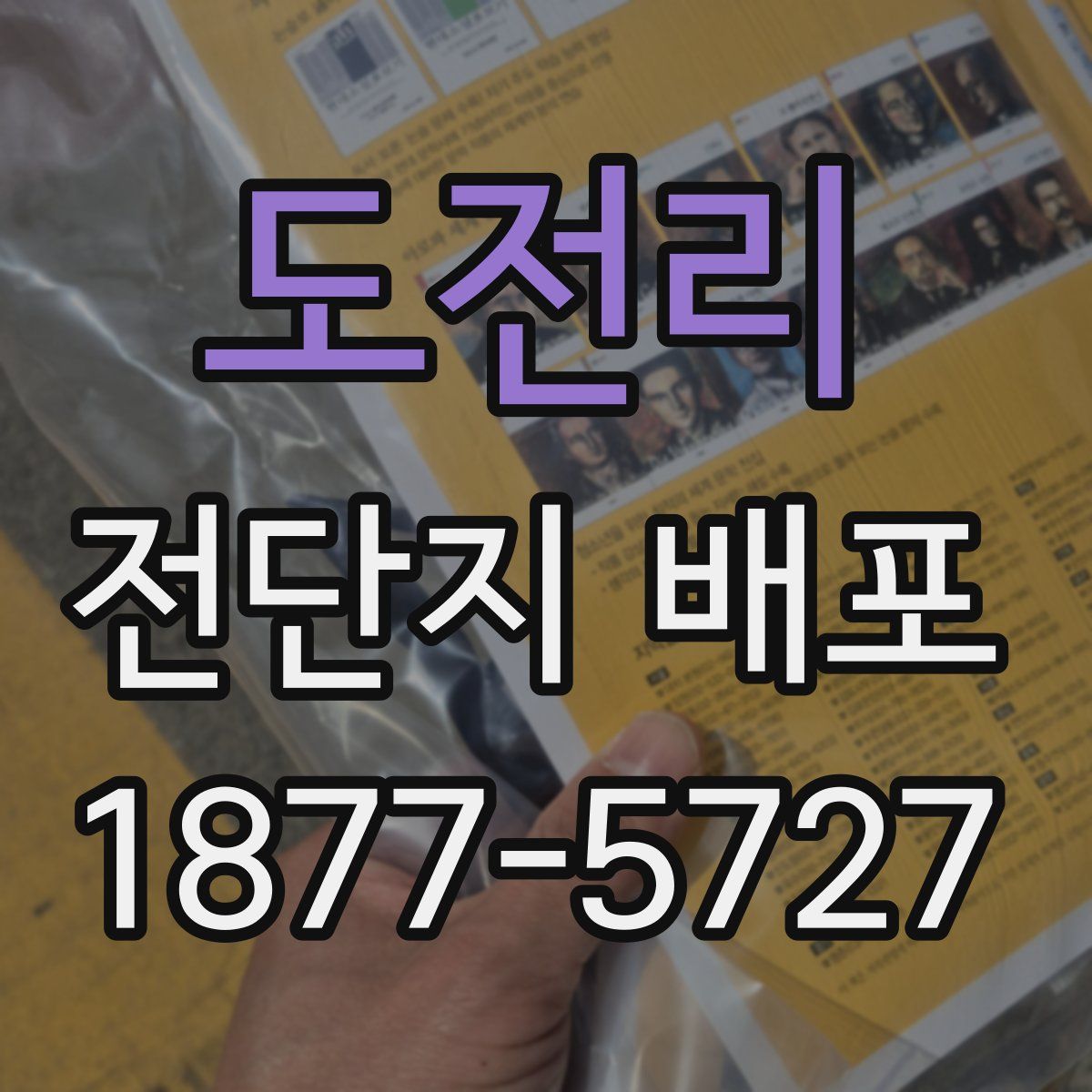 도전리 전단지 배포