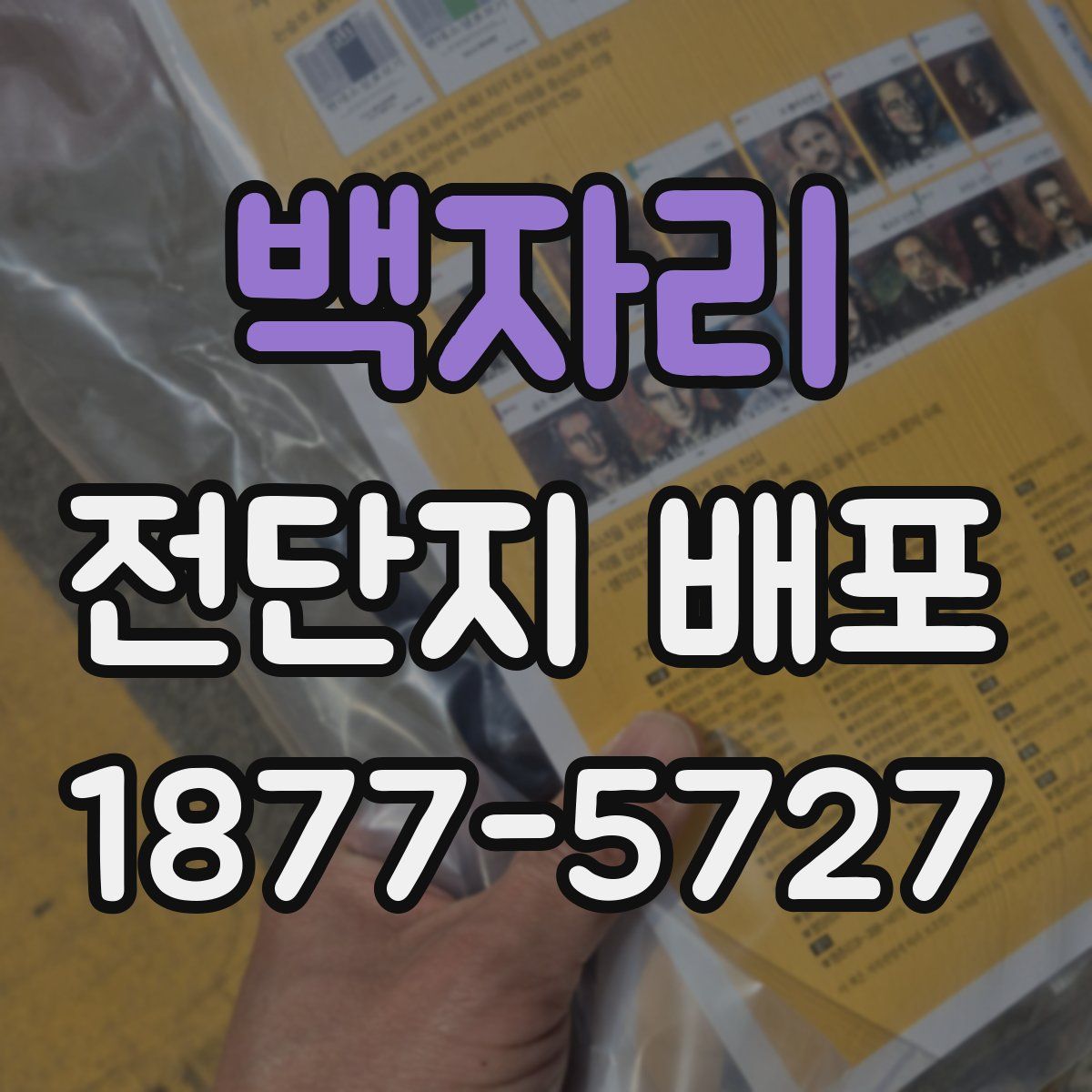 백자리 전단지 배포