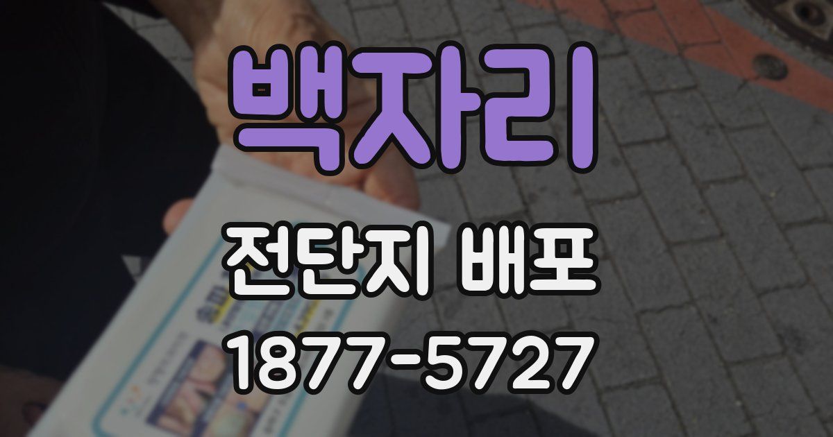 백자리 전단지 배포