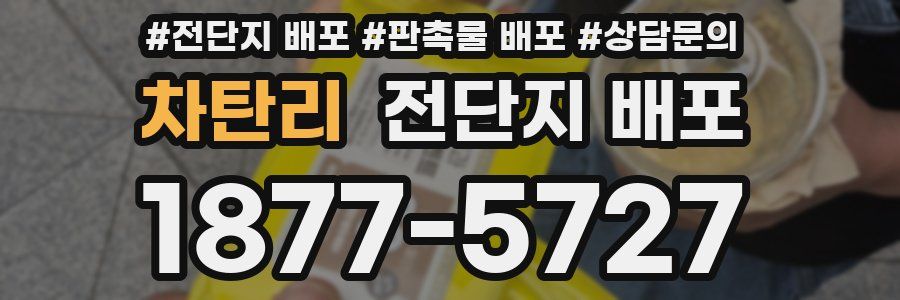 차탄리 전단지 배포