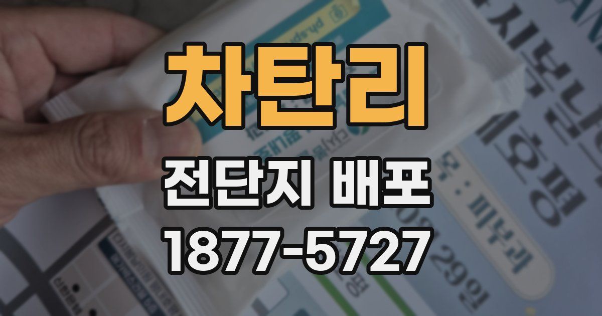 차탄리 전단지 배포