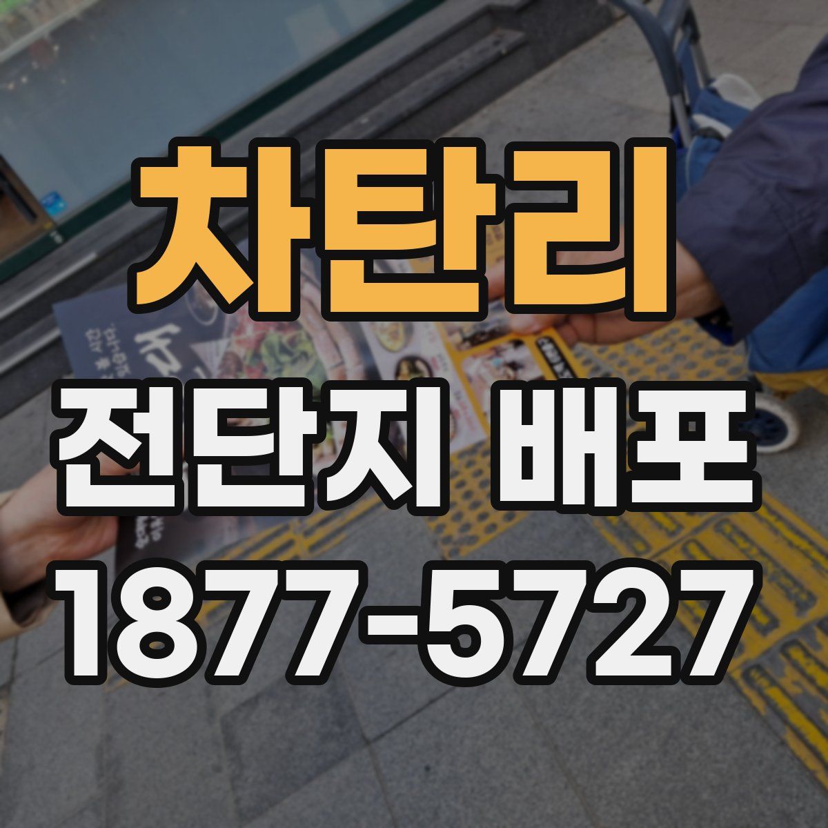 차탄리 전단지 배포
