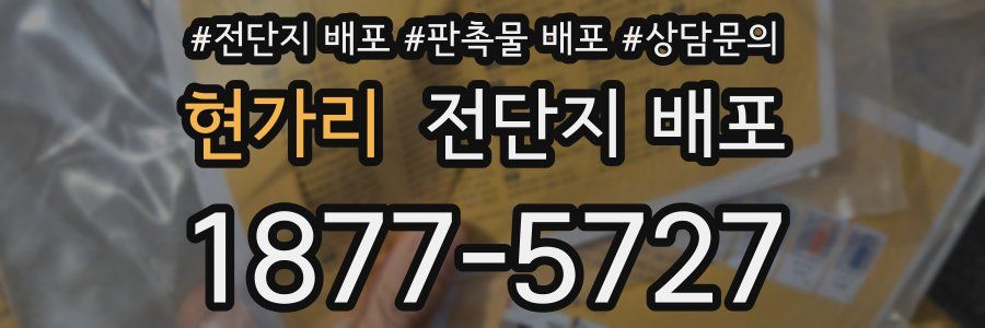 현가리 전단지 배포
