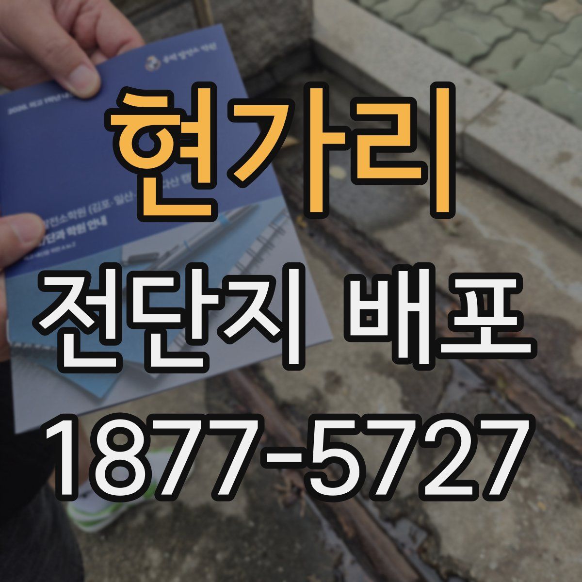 현가리 전단지 배포