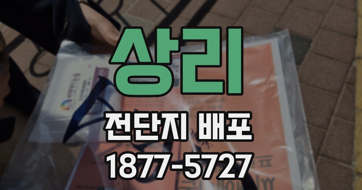 상리 전단지 배포