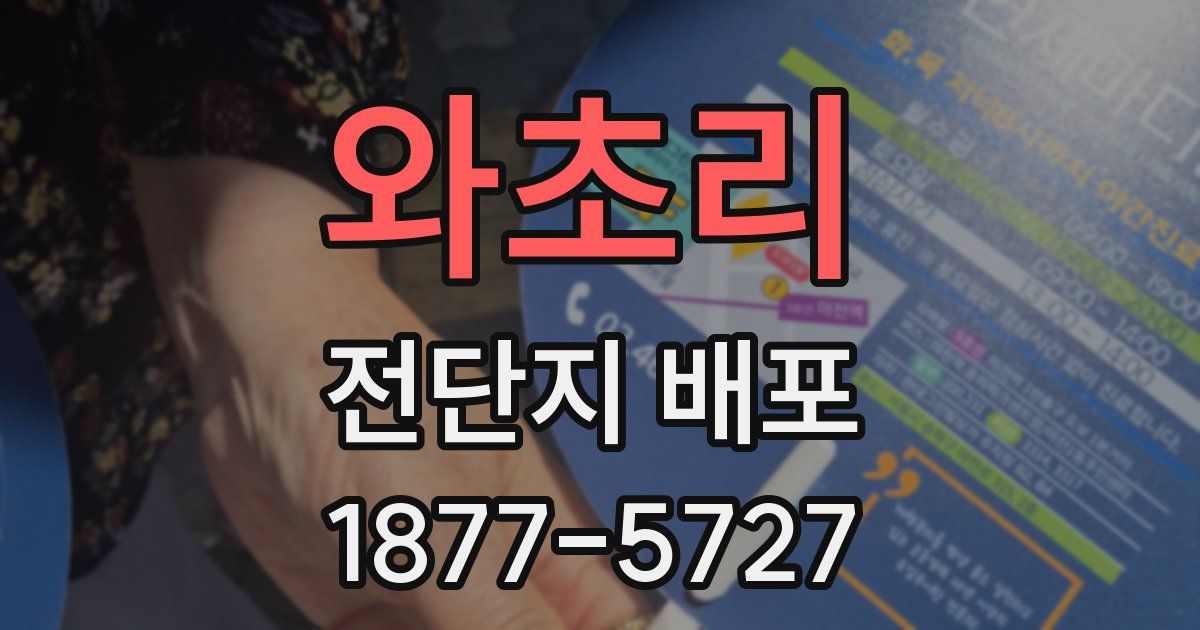 와초리 전단지 배포