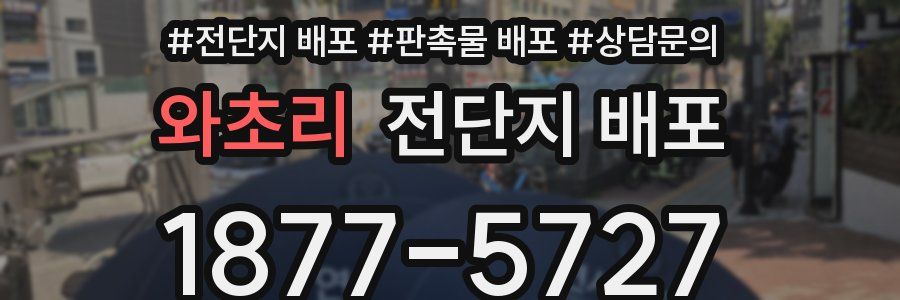 와초리 전단지 배포