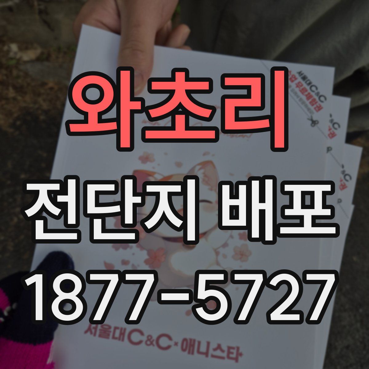 와초리 전단지 배포