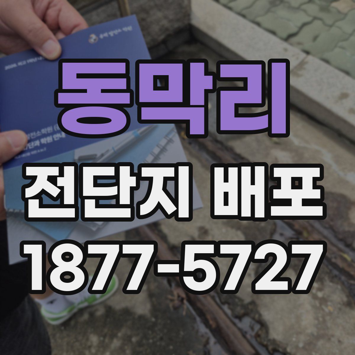 동막리 전단지 배포