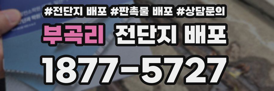 부곡리 전단지 배포