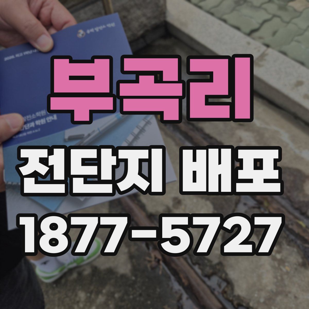 부곡리 전단지 배포