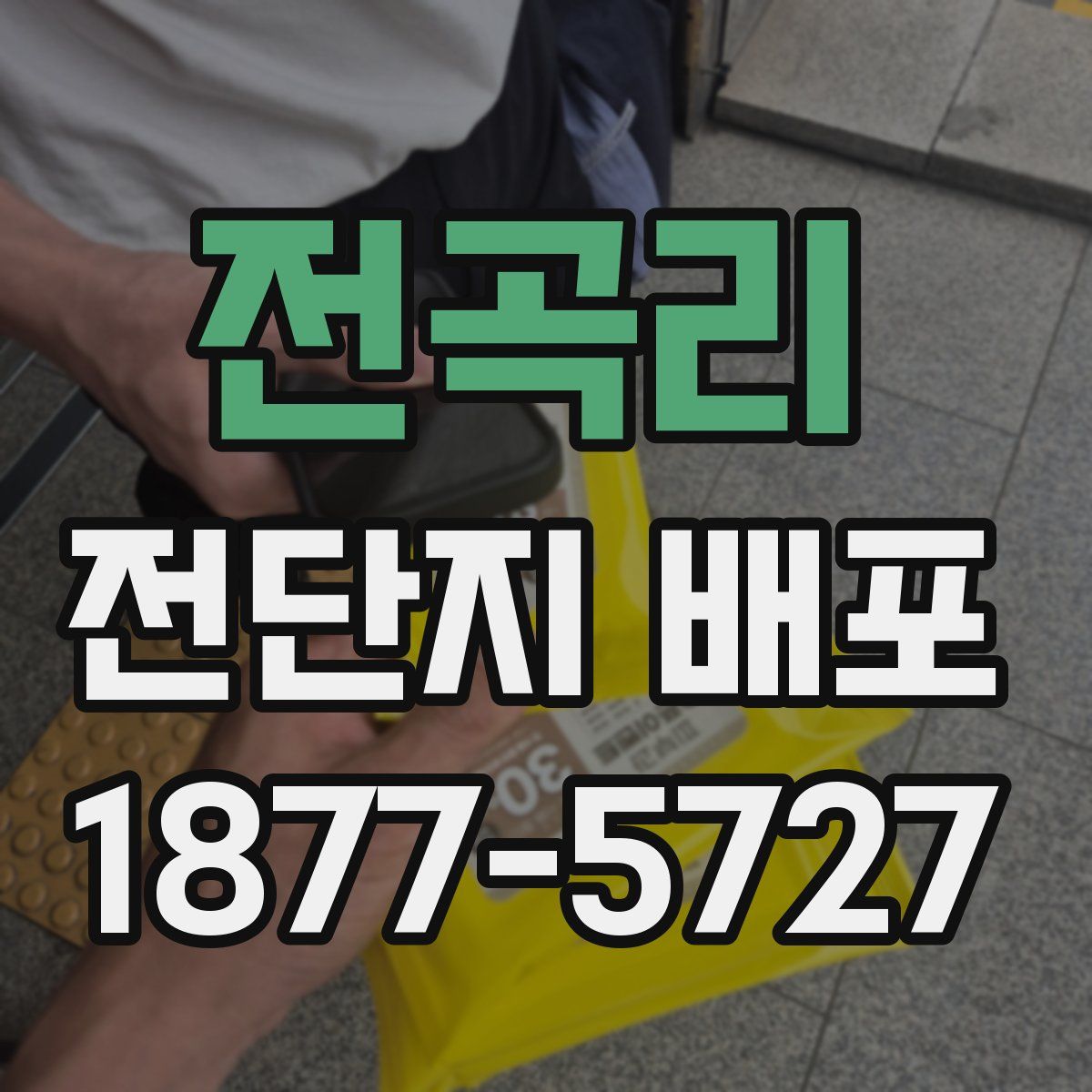 전곡리 전단지 배포