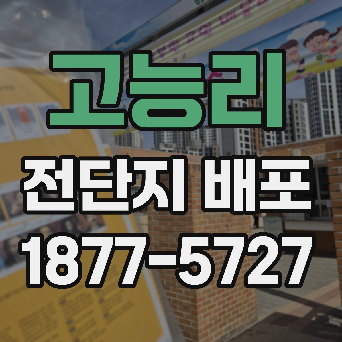 고능리 전단지 배포