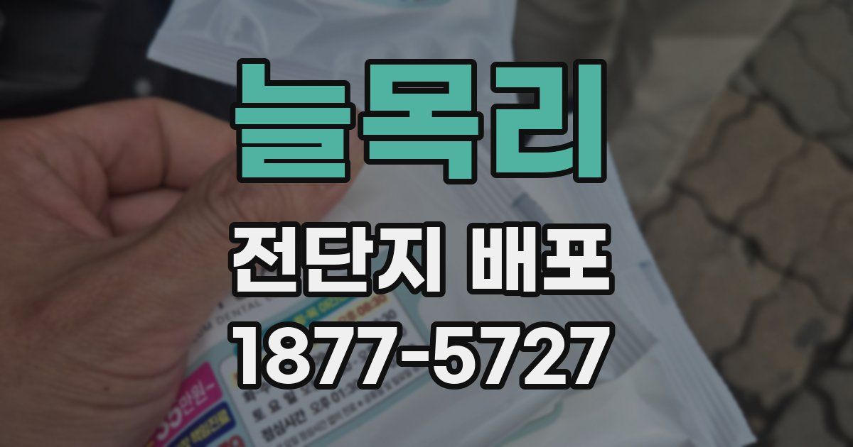 늘목리 전단지 배포