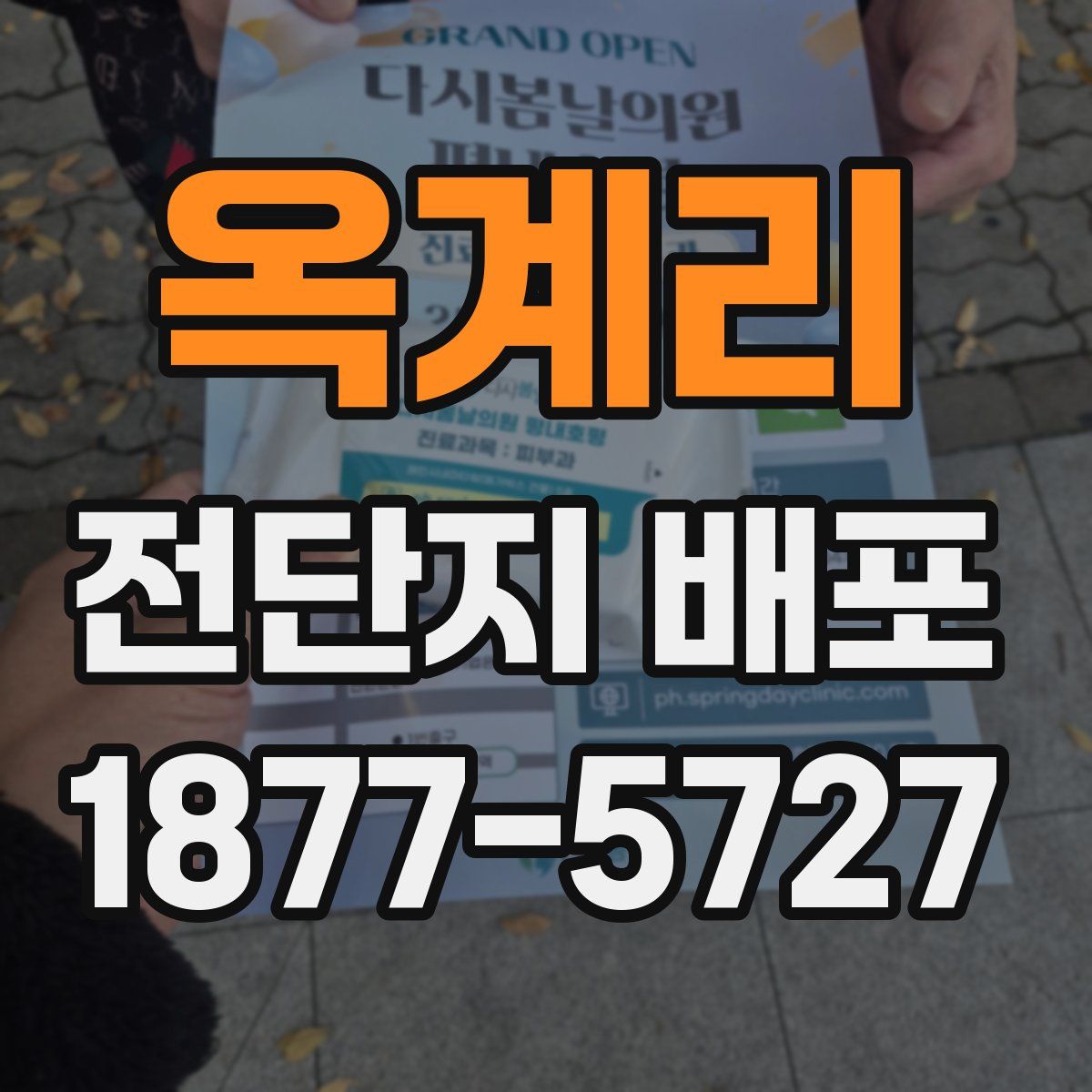 옥계리 전단지 배포