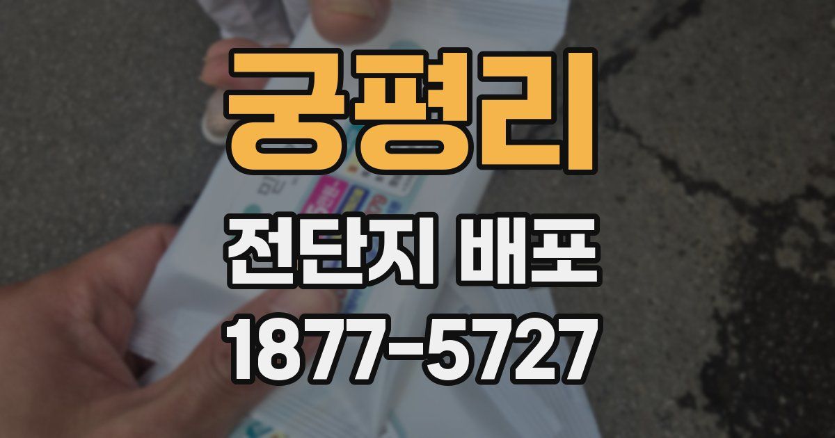 궁평리 전단지 배포