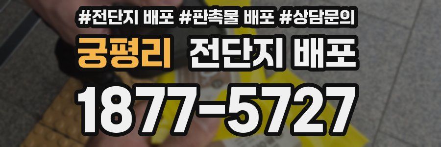 궁평리 전단지 배포