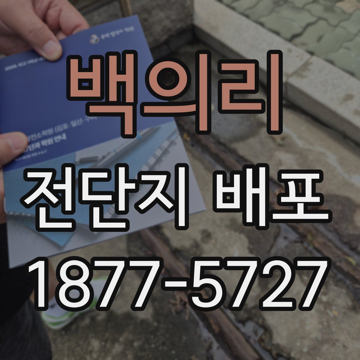 백의리 전단지 배포