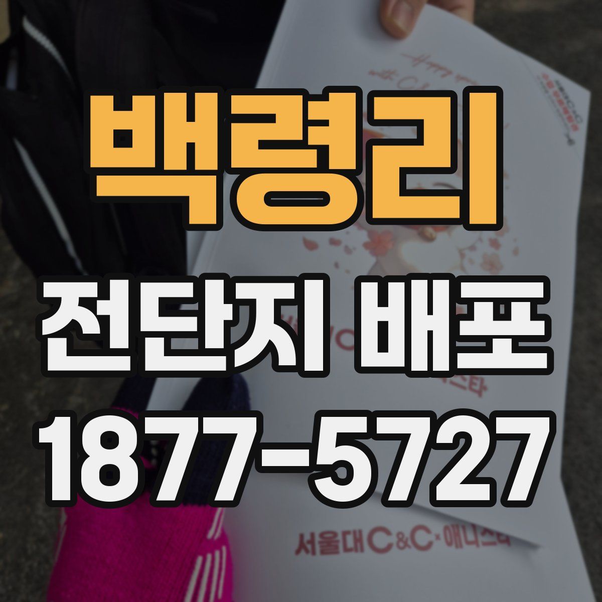 백령리 전단지 배포