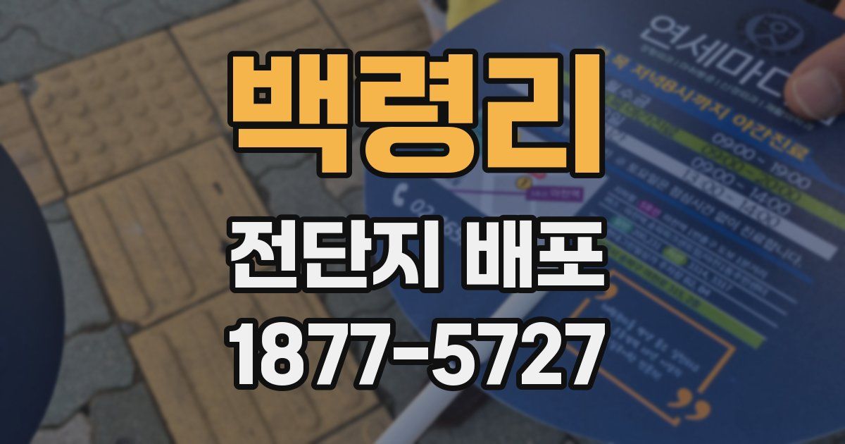 백령리 전단지 배포