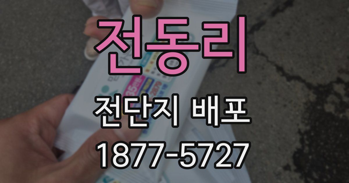 전동리 전단지 배포