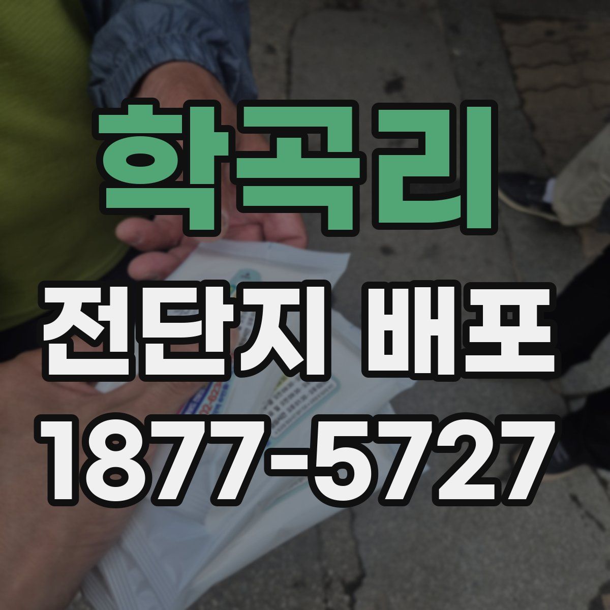 학곡리 전단지 배포
