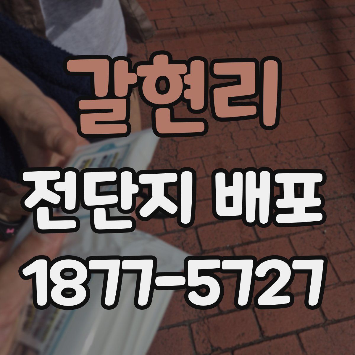 갈현리 전단지 배포