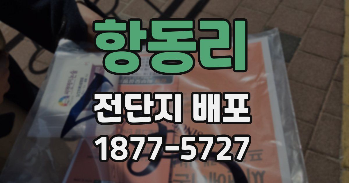 항동리 전단지 배포