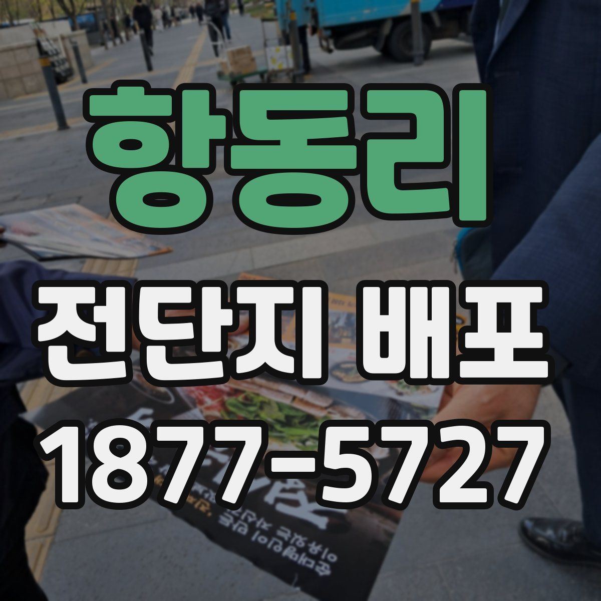 항동리 전단지 배포